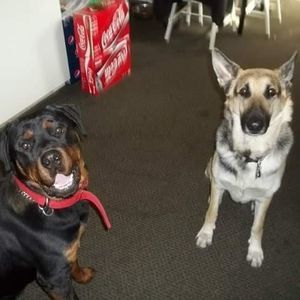 Meet your Posher, Cathy